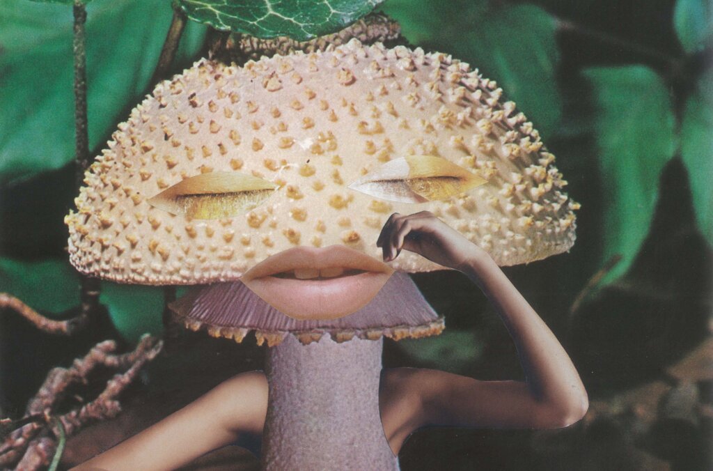 Collage depicting a mushroom with eyes and mouth