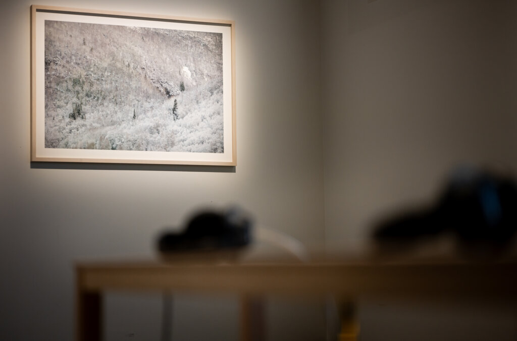 Detalj i utställningen Snö och regn skall passera