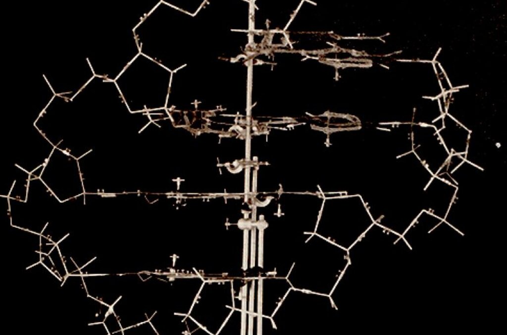 DNA RNA proteiner